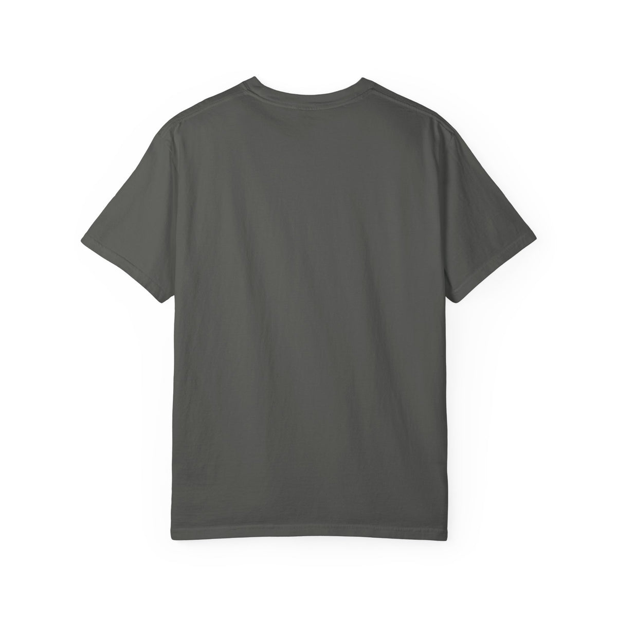 Jesus Is King- T Shirt